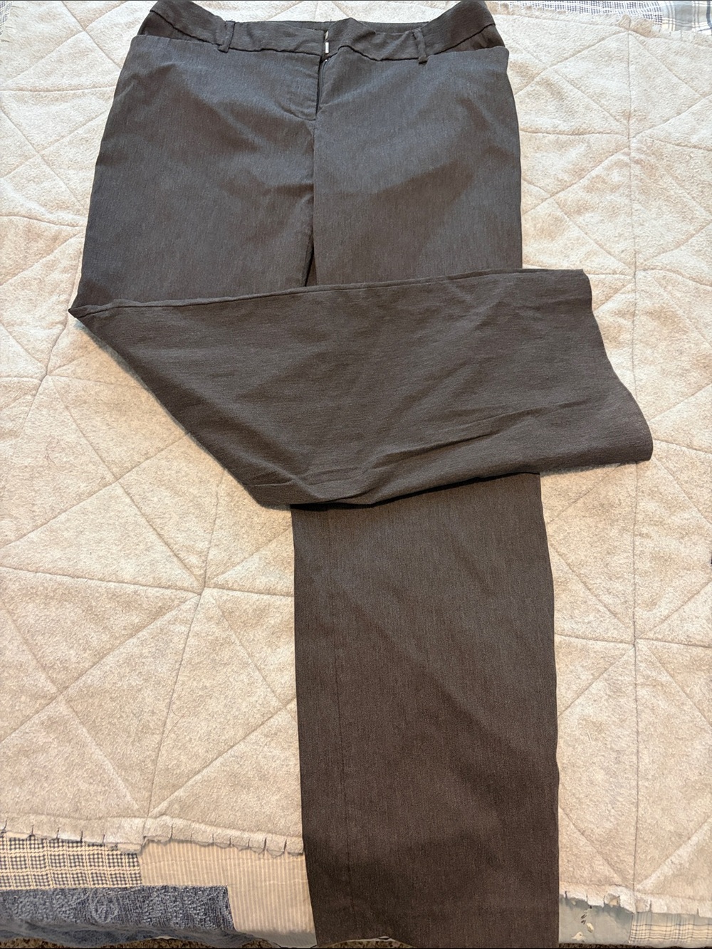 George Straight Leg Dress Pants in Charcoal